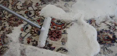 Teppichreinigung Mainz – Professionell & zuverlässig