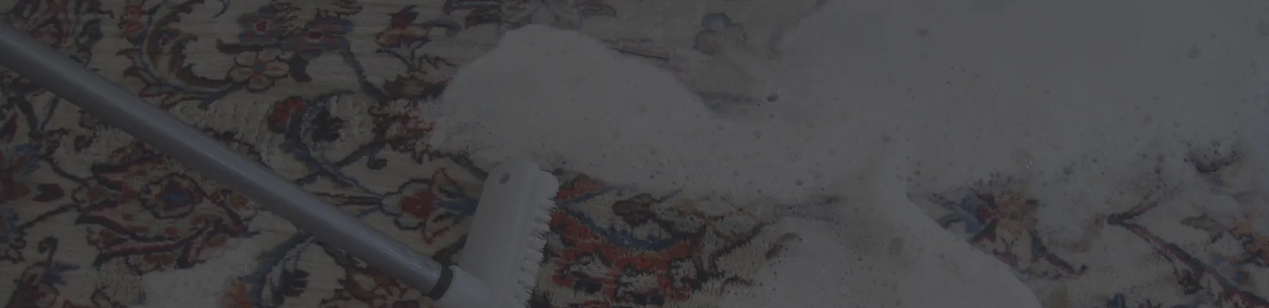 Teppichreinigung Mainz – Professionell & zuverlässig