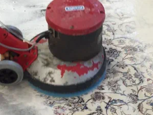 Teppichreinigung Mainz – Professionell & zuverlässig